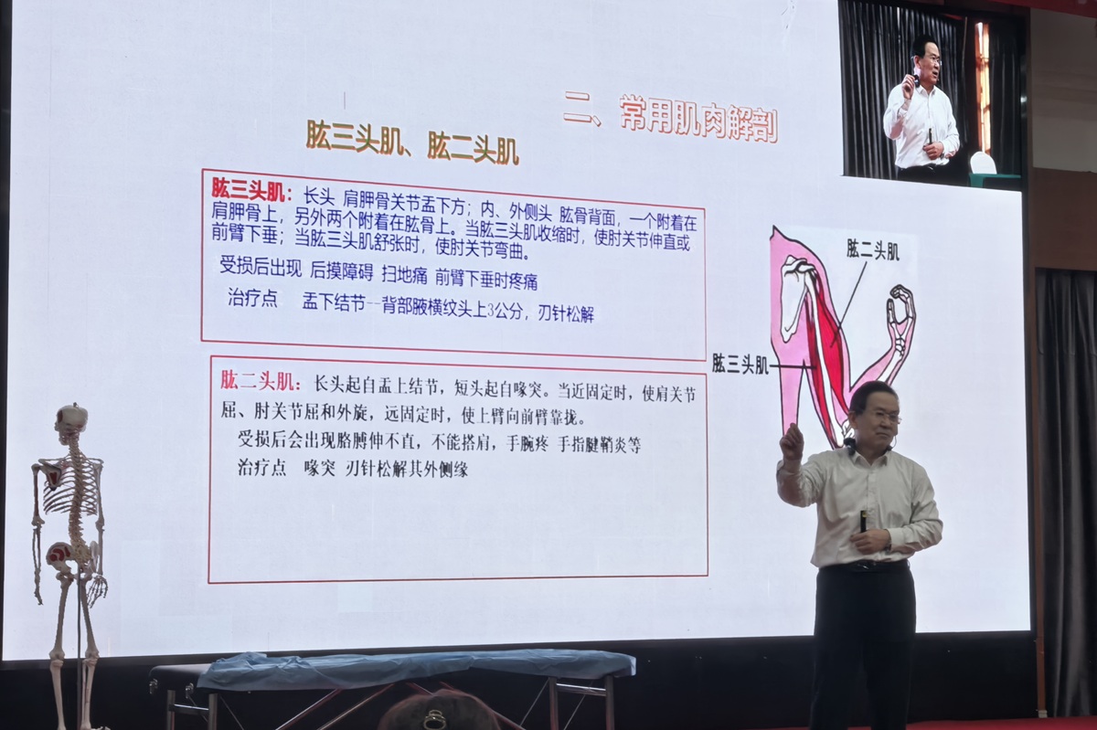 中域教育第2期王氏实战双针术学术交流会（武汉站）精彩启幕！