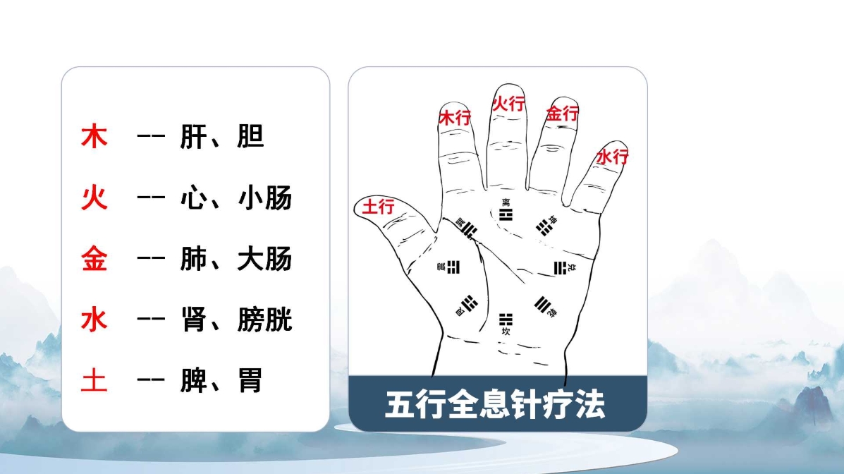 杨磊老师杨氏五行全息针课程讲义！