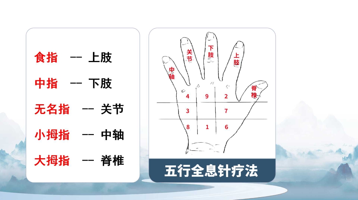 杨磊老师杨氏五行全息针课程讲义！