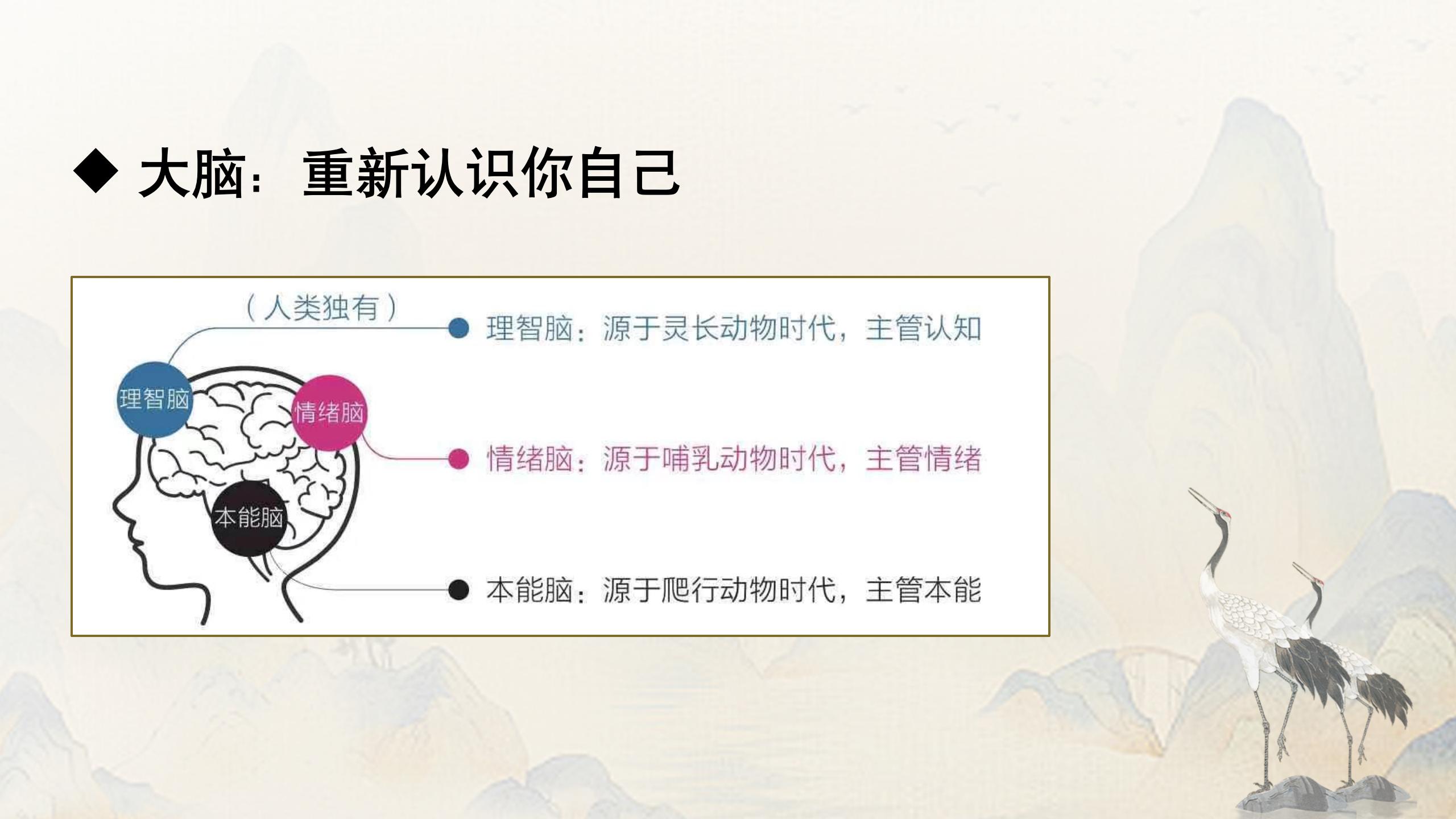 陈启锋“青少年家庭催眠营”：为孩子的成长破茧赋能！.jpg