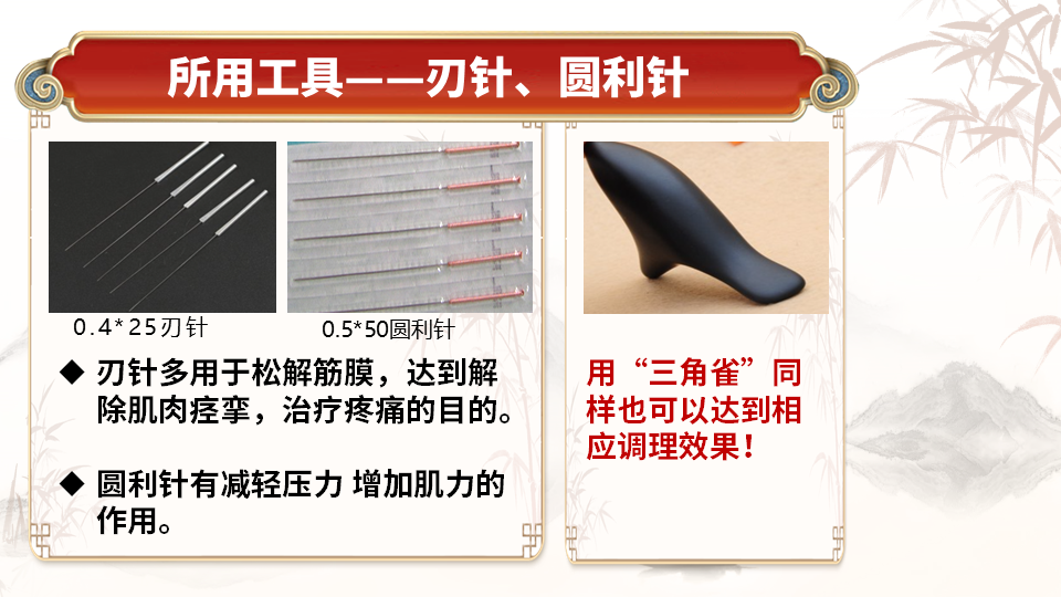 探秘王氏实战双针术，解锁中医疼痛诊疗新技能！