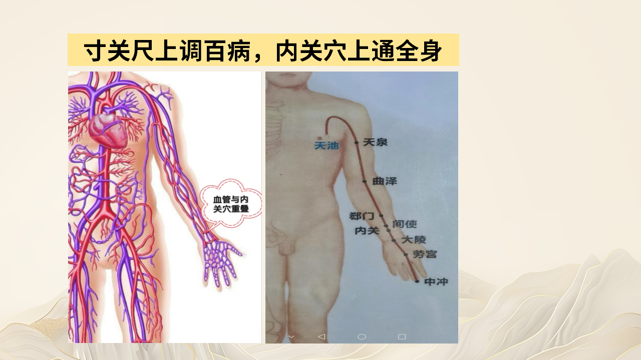 魏氏脉道气血一针通，满足多元学习需求
