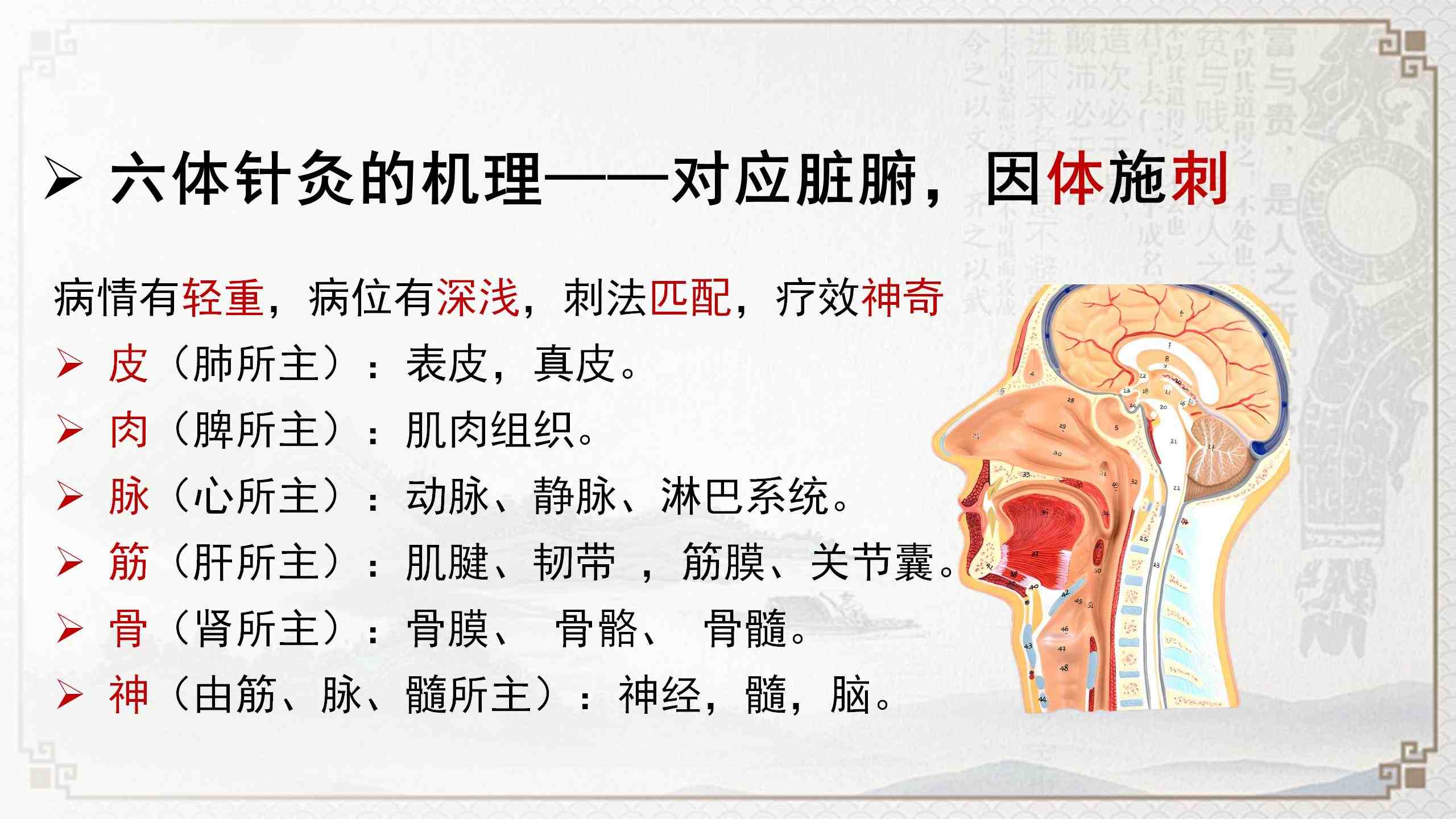 250607ltzj29.jpg 250607ltzj29.jpg