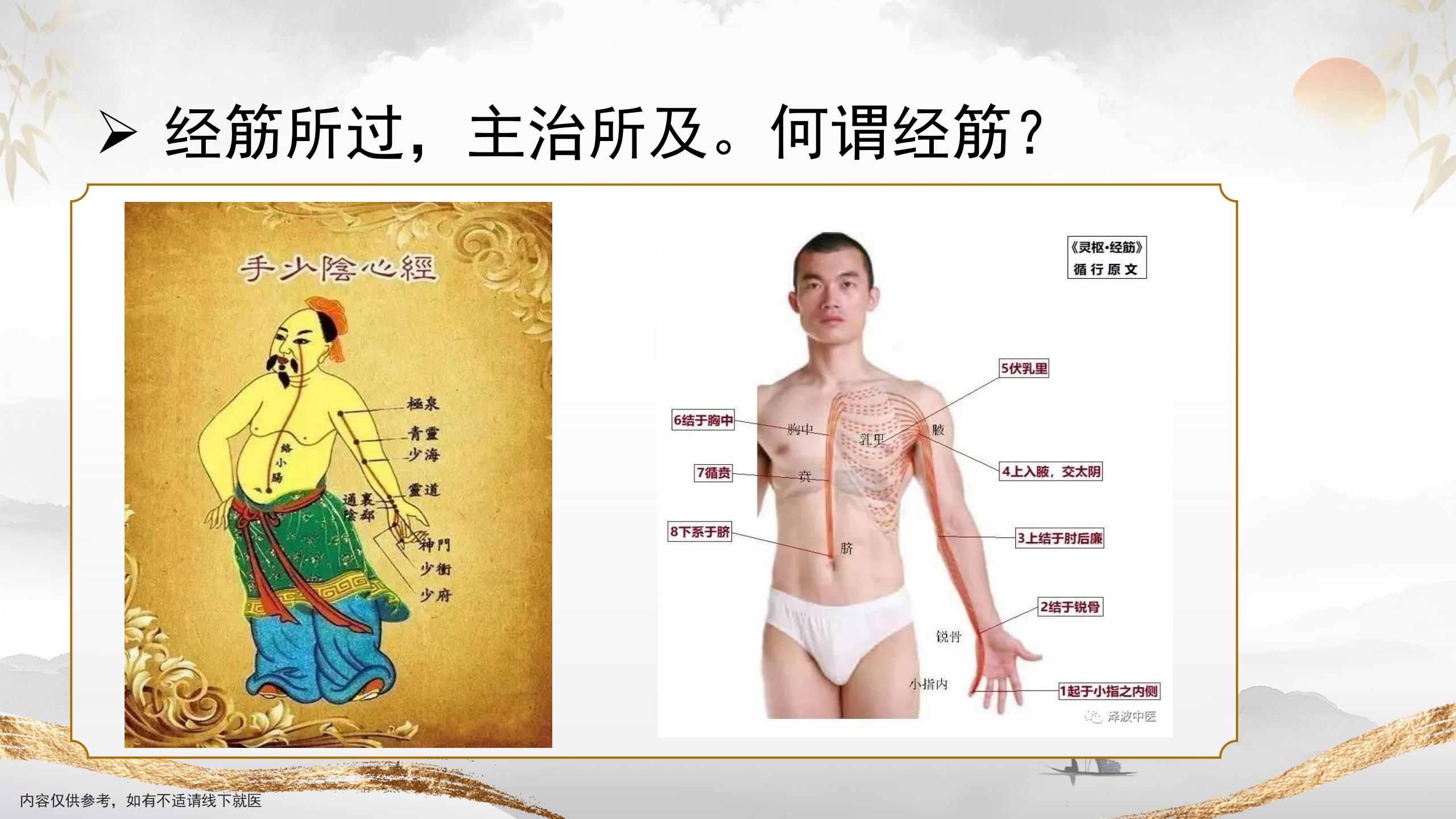寻经经筋4.jpg